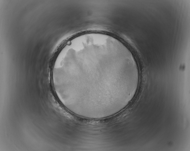 X0000114701408200911181306