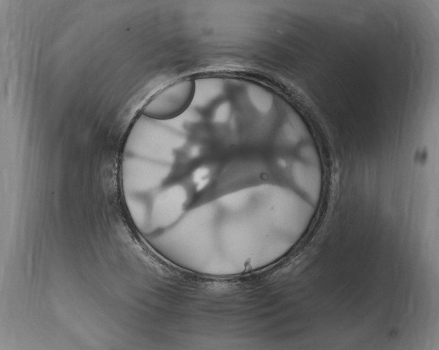 X0000114701409200911181306