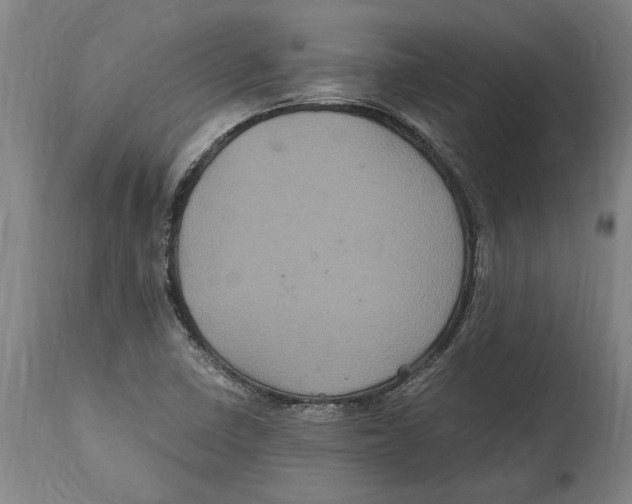 X0000114701410200911181306