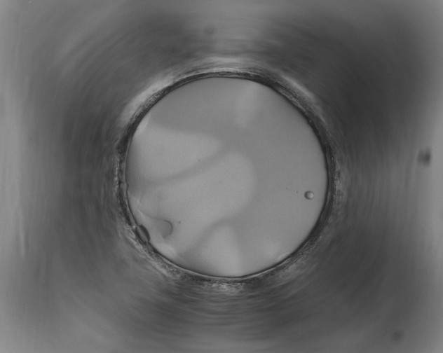 X0000114701411200911181306