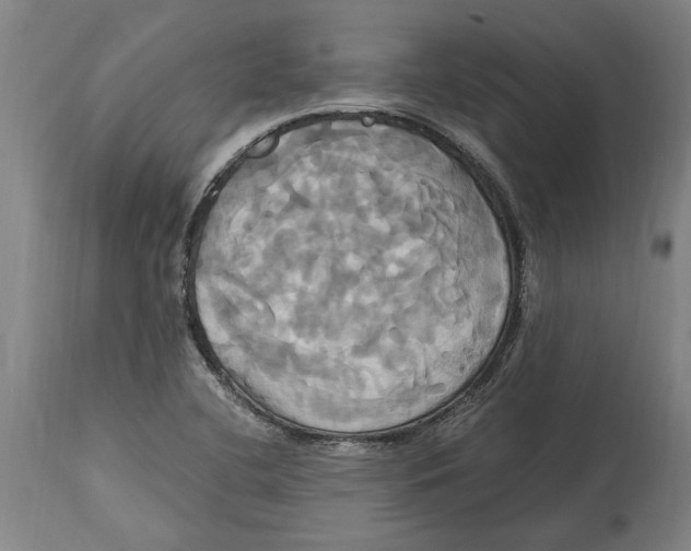 X0000114701412200911181306