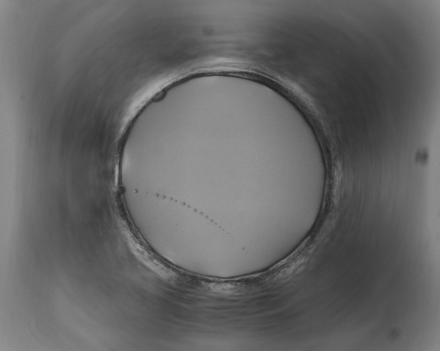 X0000114701413200911181306