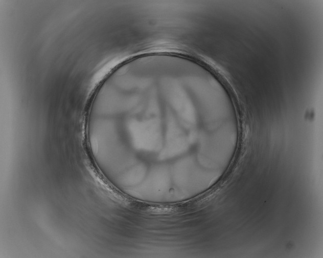 X0000114701415200911181306