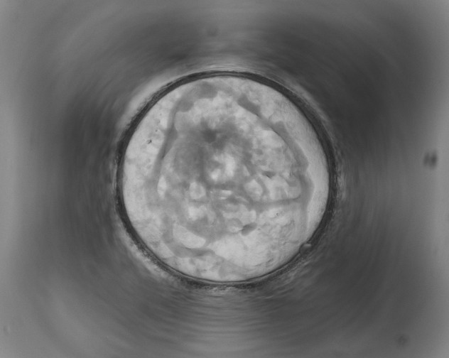 X0000114701416200911181306