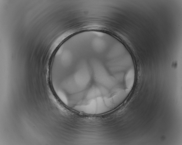 X0000114701418200911181306