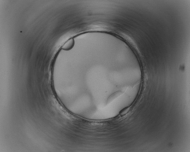 X0000114701419200911181306