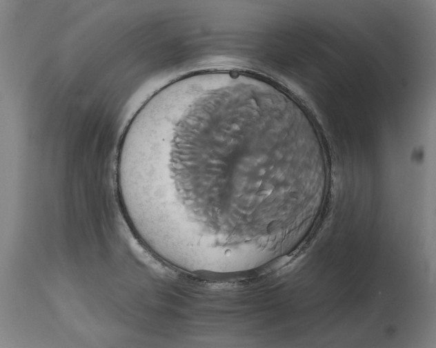 X0000114701421200911181306