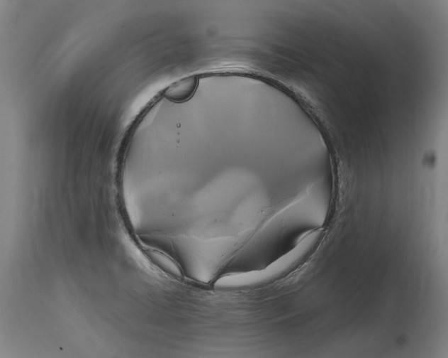 X0000114701422200911181306