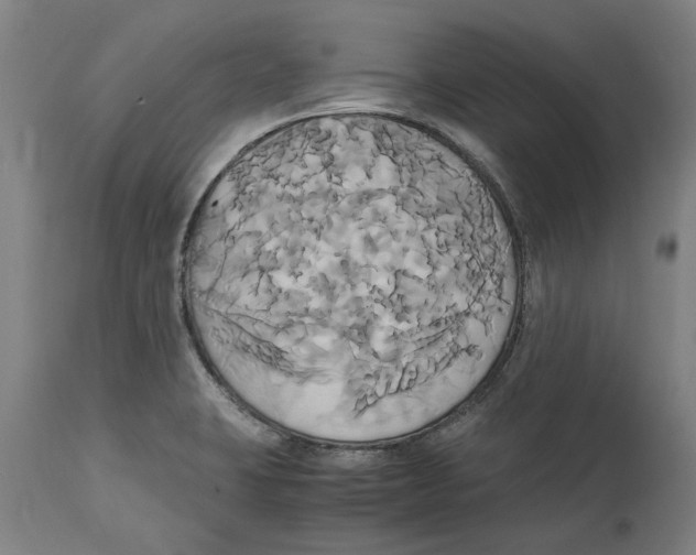 X0000114701423200911181306