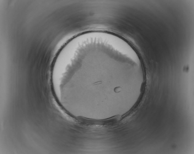 X0000114701424200911181306