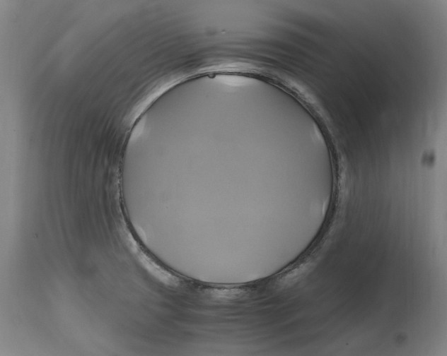 X0000114701425200911181306