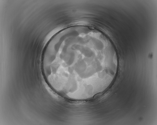 X0000114701426200911181306