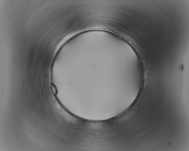 X0000114701428200911181306