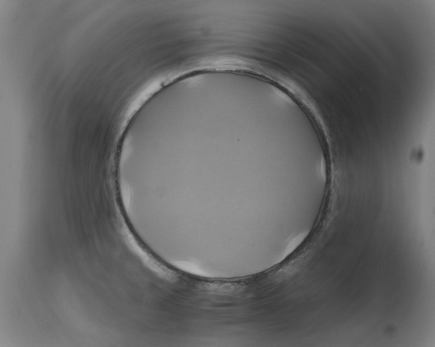 X0000114701429200911181306