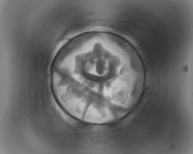 X0000114701430200911181306