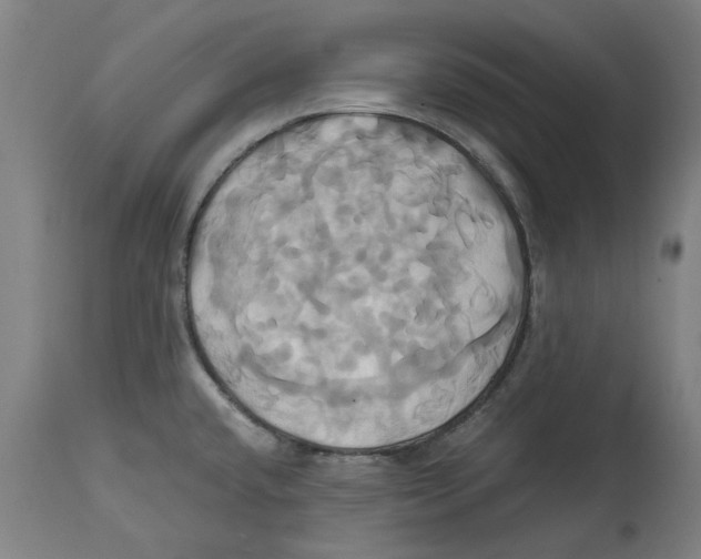 X0000114701432200911181306