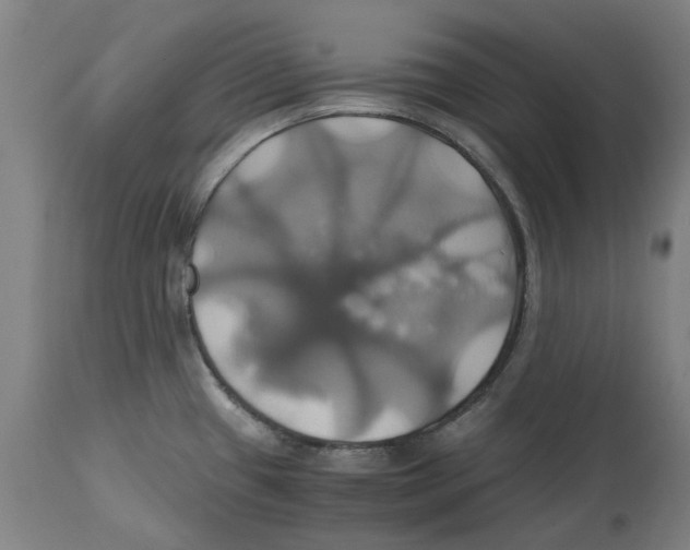 X0000114701433200911181306