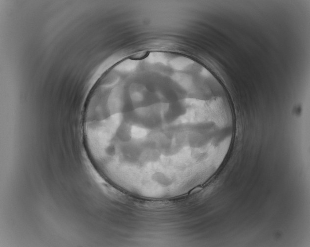 X0000114701434200911181306