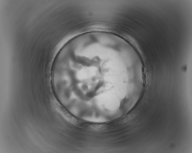 X0000114701435200911181306