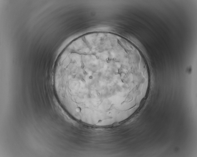 X0000114701436200911181306