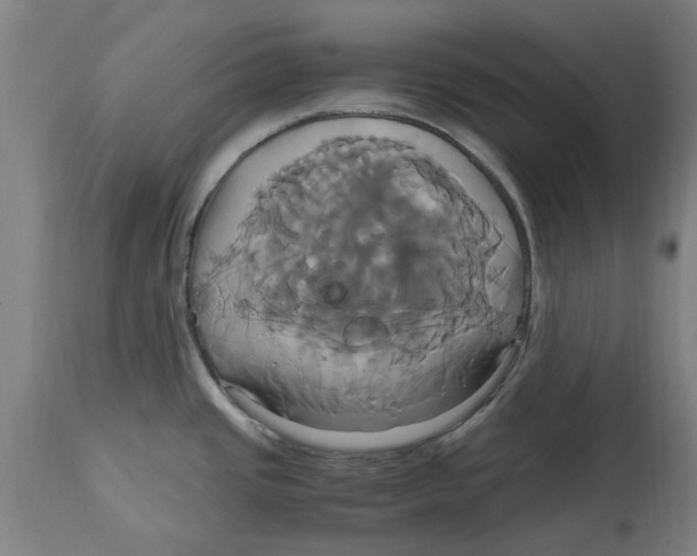 X0000114701437200911181306