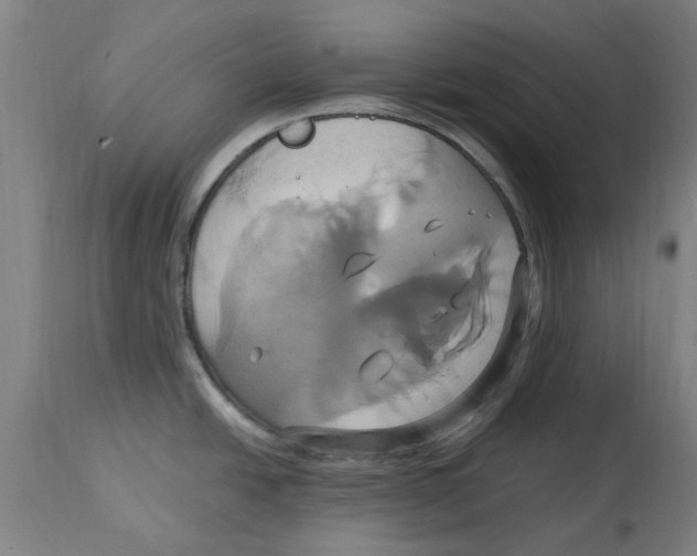 X0000114701438200911181306