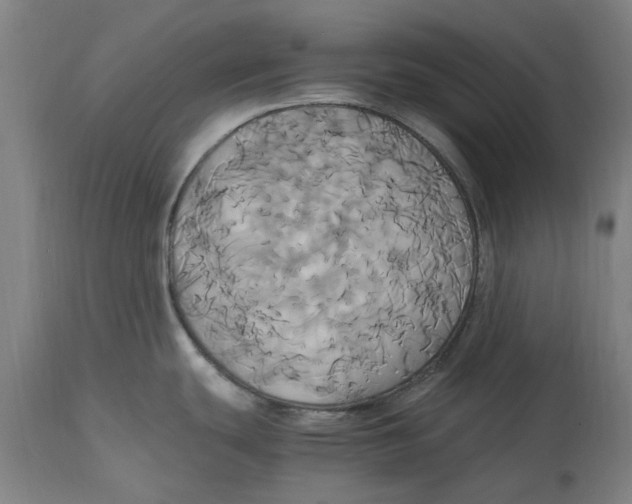 X0000114701439200911181306