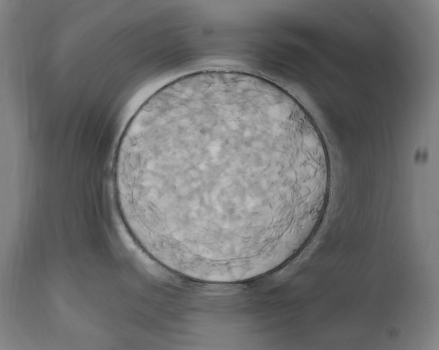 X0000114701440200911181306