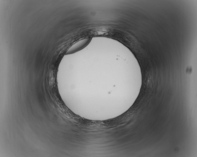 X0000114701442200911181305