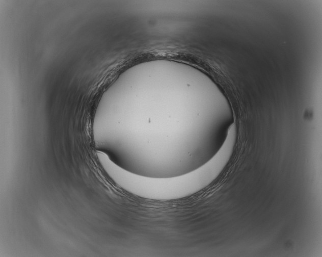 X0000114701444200911181305