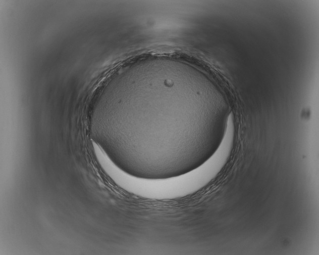 X0000114701445200911181305