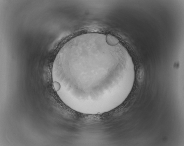 X0000114701446200911181305