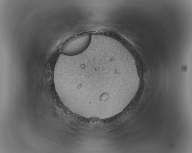 X0000114701447200911181305