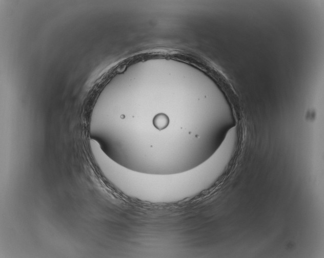 X0000114701448200911181305