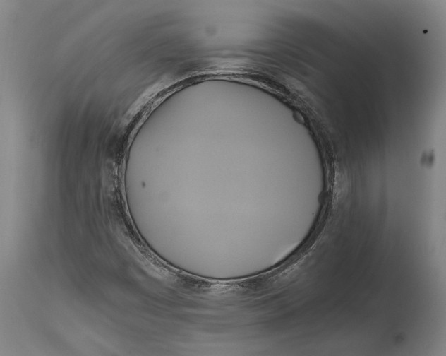 X0000114701449200911181305