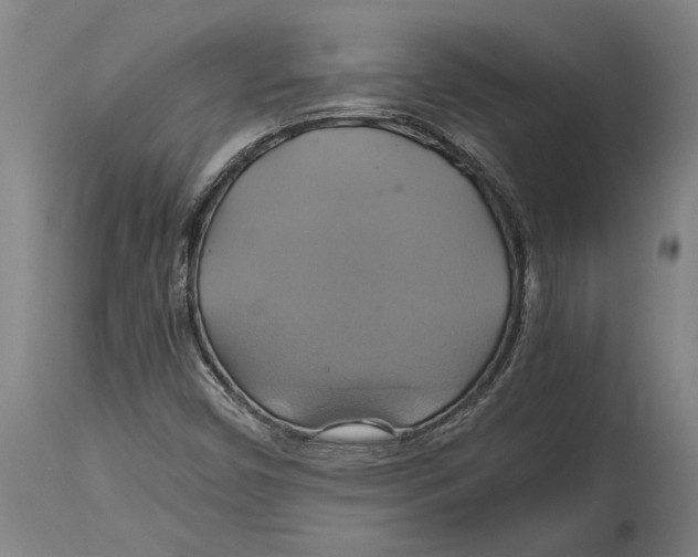 X0000114701450200911181305