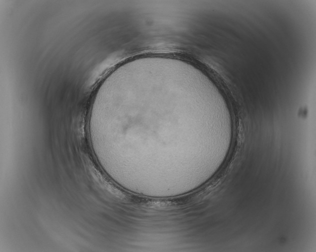 X0000114701451200911181305