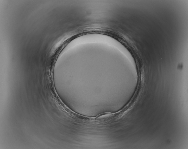 X0000114701453200911181305