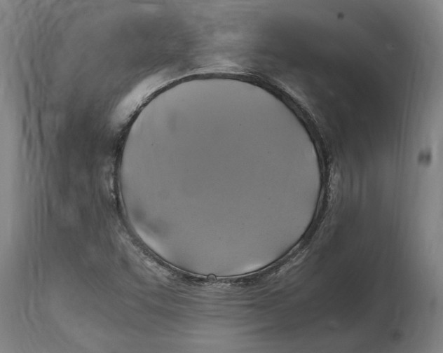 X0000114701455200911181305