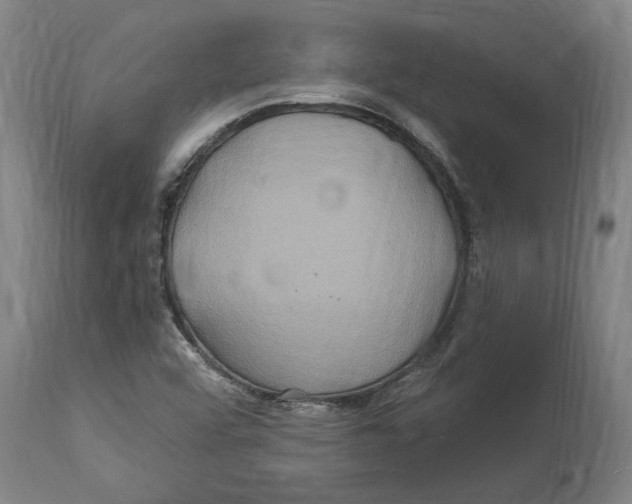 X0000114701456200911181305