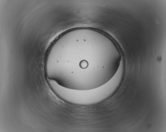 X0000114701460200911181305