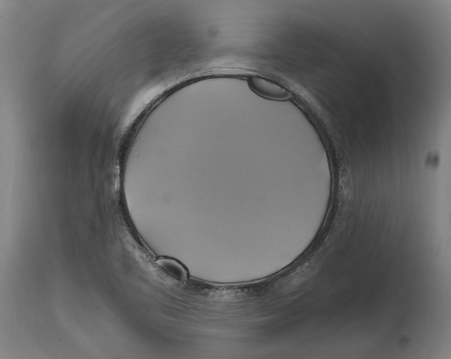 X0000114701461200911181305