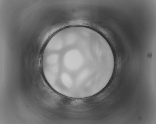 X0000114701462200911181305