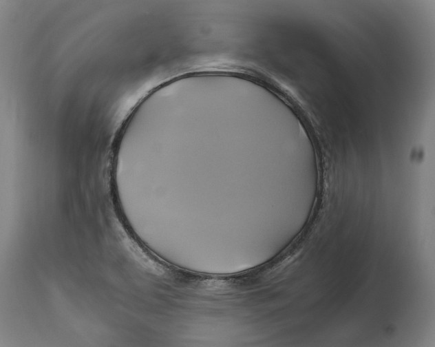 X0000114701463200911181305