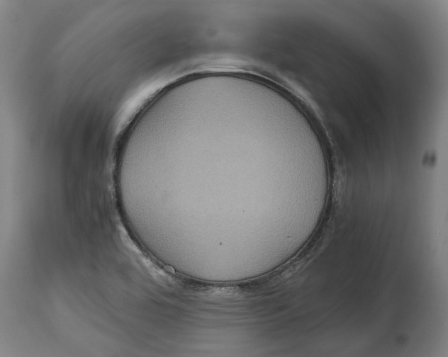 X0000114701464200911181305