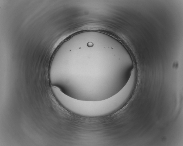 X0000114701465200911181305