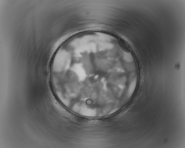 X0000114701467200911181305