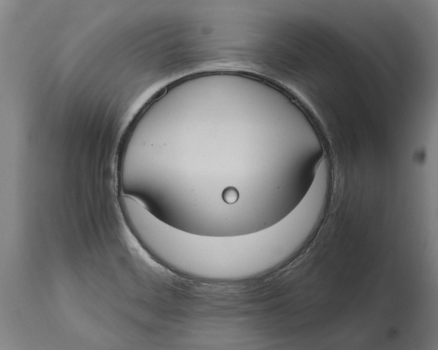 X0000114701468200911181305