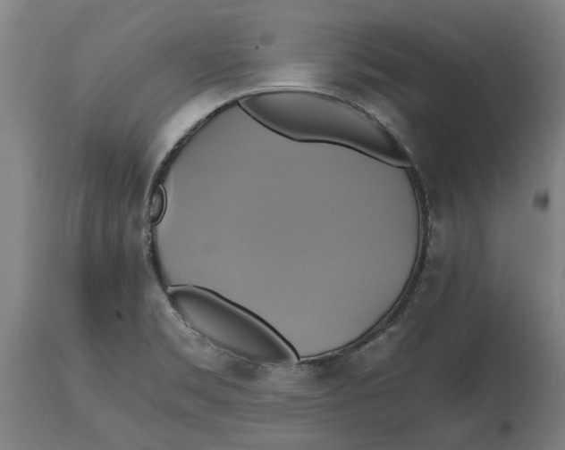 X0000114701469200911181305