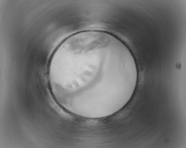 X0000114701470200911181305